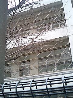 歩きも悪くない