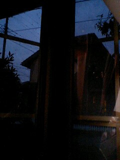 雨