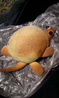 かめろんぱん